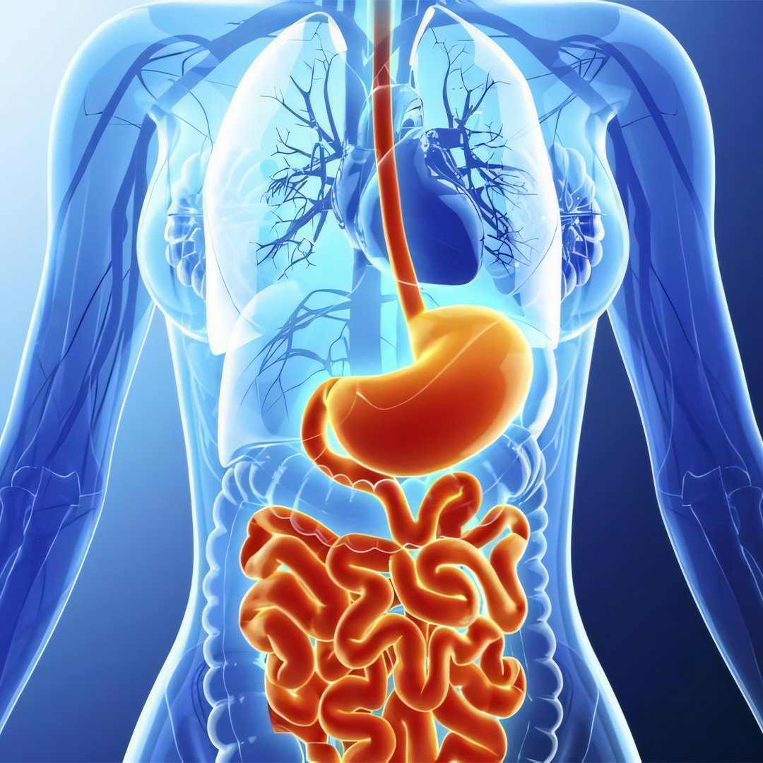 Gastroenterology Department