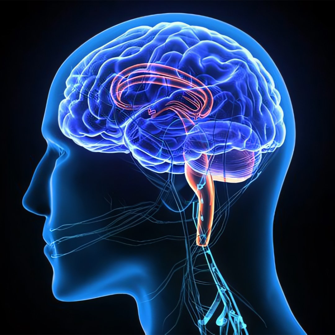 Neurology Department